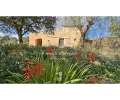 Finca para reformar con ambiente rural.