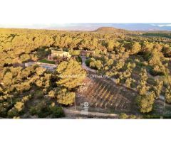 Finca con piscina y casa de invitados con vistas espectaculares