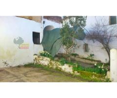 CASA DE PUEBLO EN TALAVAN, HUERTO Y OLIVAR.