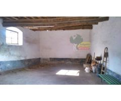 CASA DE PUEBLO EN TALAVAN, HUERTO Y OLIVAR.