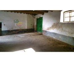CASA DE PUEBLO EN TALAVAN, HUERTO Y OLIVAR.