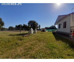 CHALET EN EL MONTE DEL CASAR CON PISCINA Y PISTA DEPORTIVA.