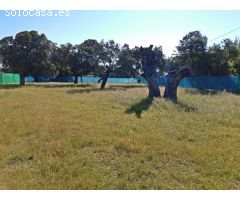 CHALET EN EL MONTE DEL CASAR CON PISCINA Y PISTA DEPORTIVA.
