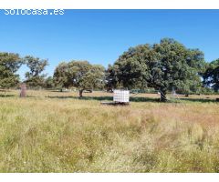 CHALET EN EL MONTE DEL CASAR CON PISCINA Y PISTA DEPORTIVA.
