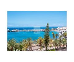 Estudio en Los Cristianos