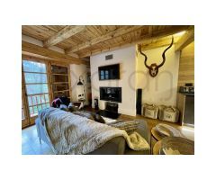 Espectacular apartamento de 3 habitaciones en Arties