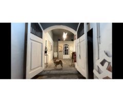 Local comercial en venta en el Gòtic