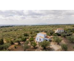 Villa en zona rústica con certificado de legalización, LICENCIA PARA PISCINA