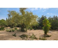 Villa en zona rústica con certificado de legalización, LICENCIA PARA PISCINA