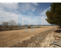 Restaurante en el Delta del Ebro.