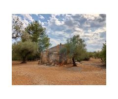 Finca rústica situada en el pueblo pesquero de lAmpolla