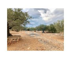 Finca rústica situada en el pueblo pesquero de lAmpolla