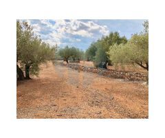 Finca rústica situada en el pueblo pesquero de lAmpolla