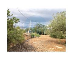 Finca rústica situada en el pueblo pesquero de lAmpolla