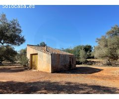 Finca rústica con dos casetas de campo.