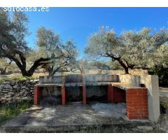 Finca rústica con dos casetas de campo.