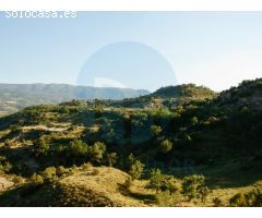 Gran finca rústica con diversas Masías de piedra.
