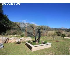 Bonita casa en Alfara de Carles