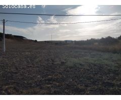 Casa en venta en Morón de la Frontera (Sevilla) en zona Semicentro con unos 100