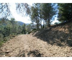 Preciosa parcela en Can Guitart Vell
