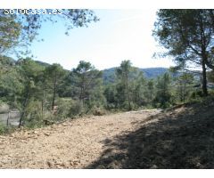 Preciosa parcela en Can Guitart Vell