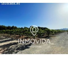 FINCA DE CULTIVO CON AGUA