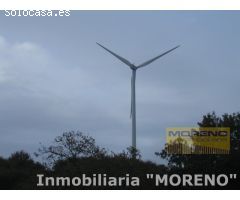 POSIBILIDAD DE MAS FINCAS EN LA ZONA.