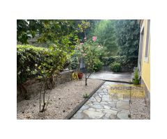 CHALET CON PARCELA EN CENTRO URBANO.