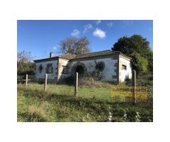 CASA DE PIEDRA EN PLANTA BAJA CON FINCA.