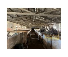 NAVE Y TERRENO