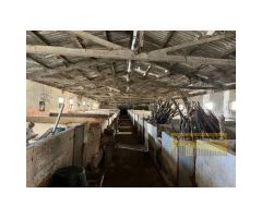 NAVE Y TERRENO