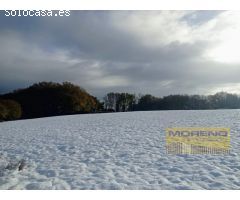 PARCELA VIVIENDA nº 2