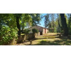MOLINO VIVIENDA