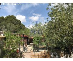 CASA HUERTA CON PARCELA