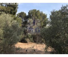 CASA CON PARCELA - REFORMAR