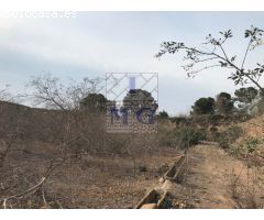 CASA CON PARCELA - REFORMAR