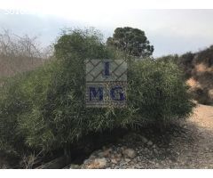 CASA CON PARCELA - REFORMAR
