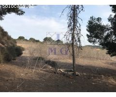CASA CON PARCELA - REFORMAR