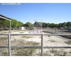 FINCA - CORTIJO
