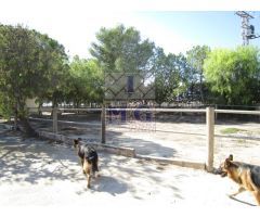 FINCA - CORTIJO