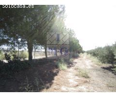 FINCA - CORTIJO
