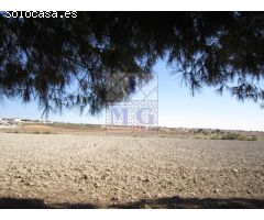 FINCA - CORTIJO
