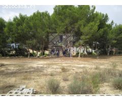 PARCELA RUSTICA