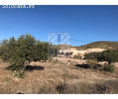 PARCELA RUSTICA CON AGUA Y LUZ