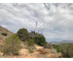 PARCELA DE MONTE