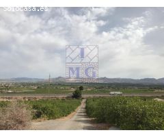 PARCELA DE MONTE