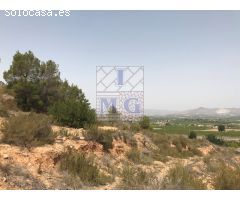 PARCELA DE MONTE