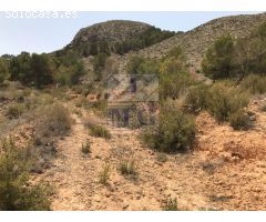 PARCELA DE MONTE