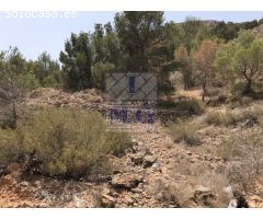 PARCELA DE MONTE