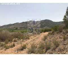 PARCELA DE MONTE